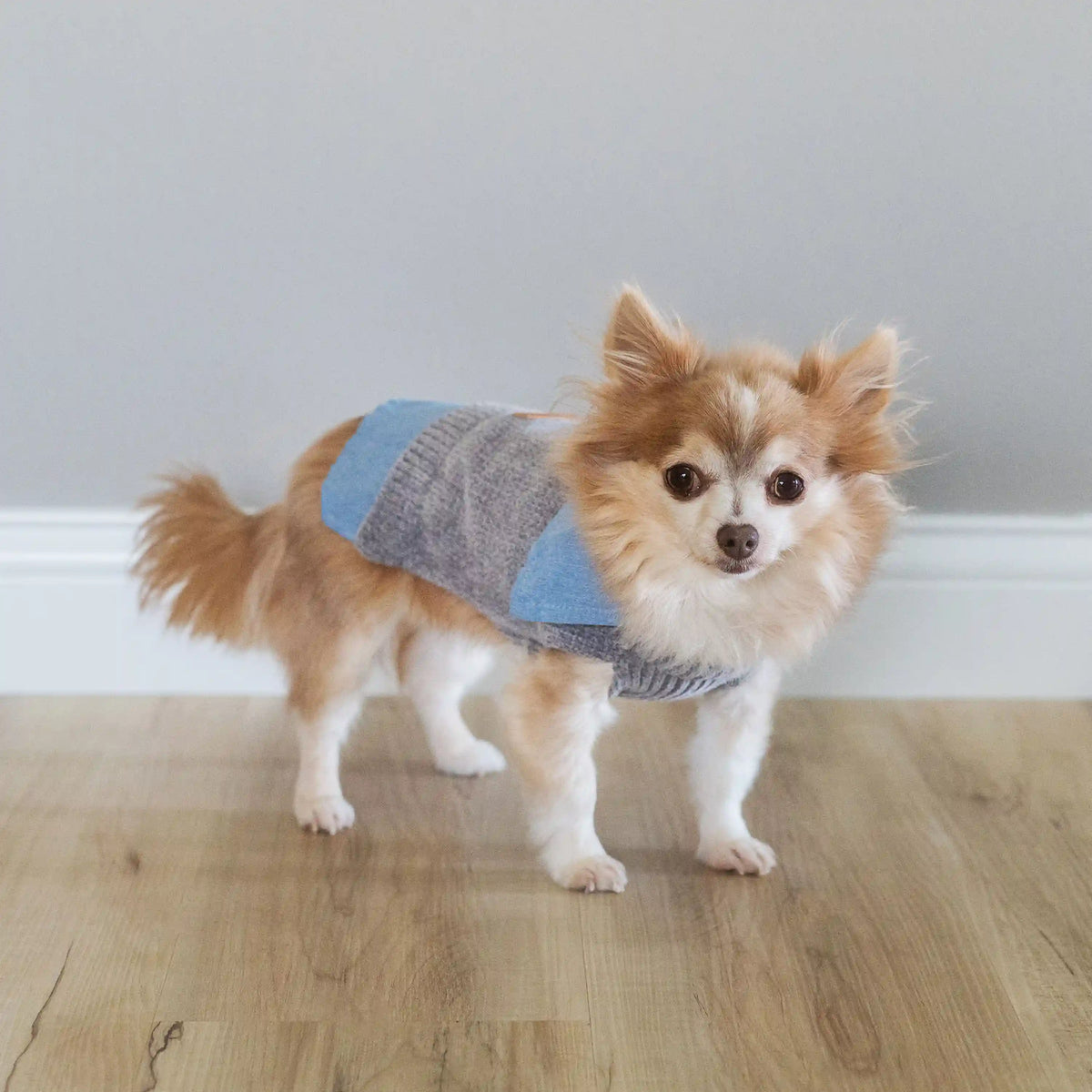 Grey Chenille and Chambray Dog Jacket