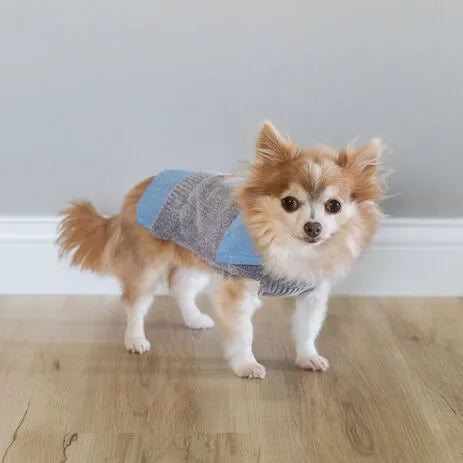 Grey Chenille and Chambray Dog Jacket
